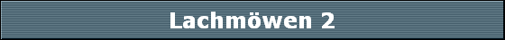 Lachm�wen 2